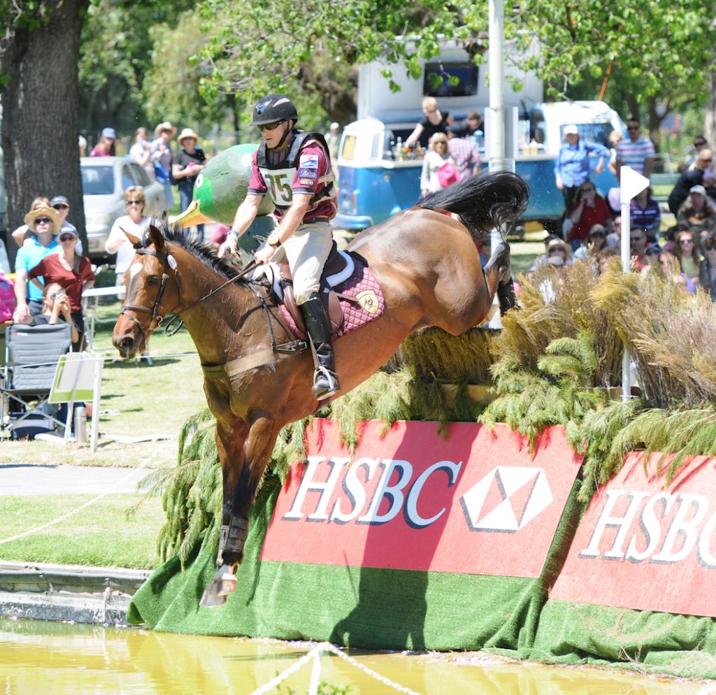 Sandhills Brillaire Adelaide
