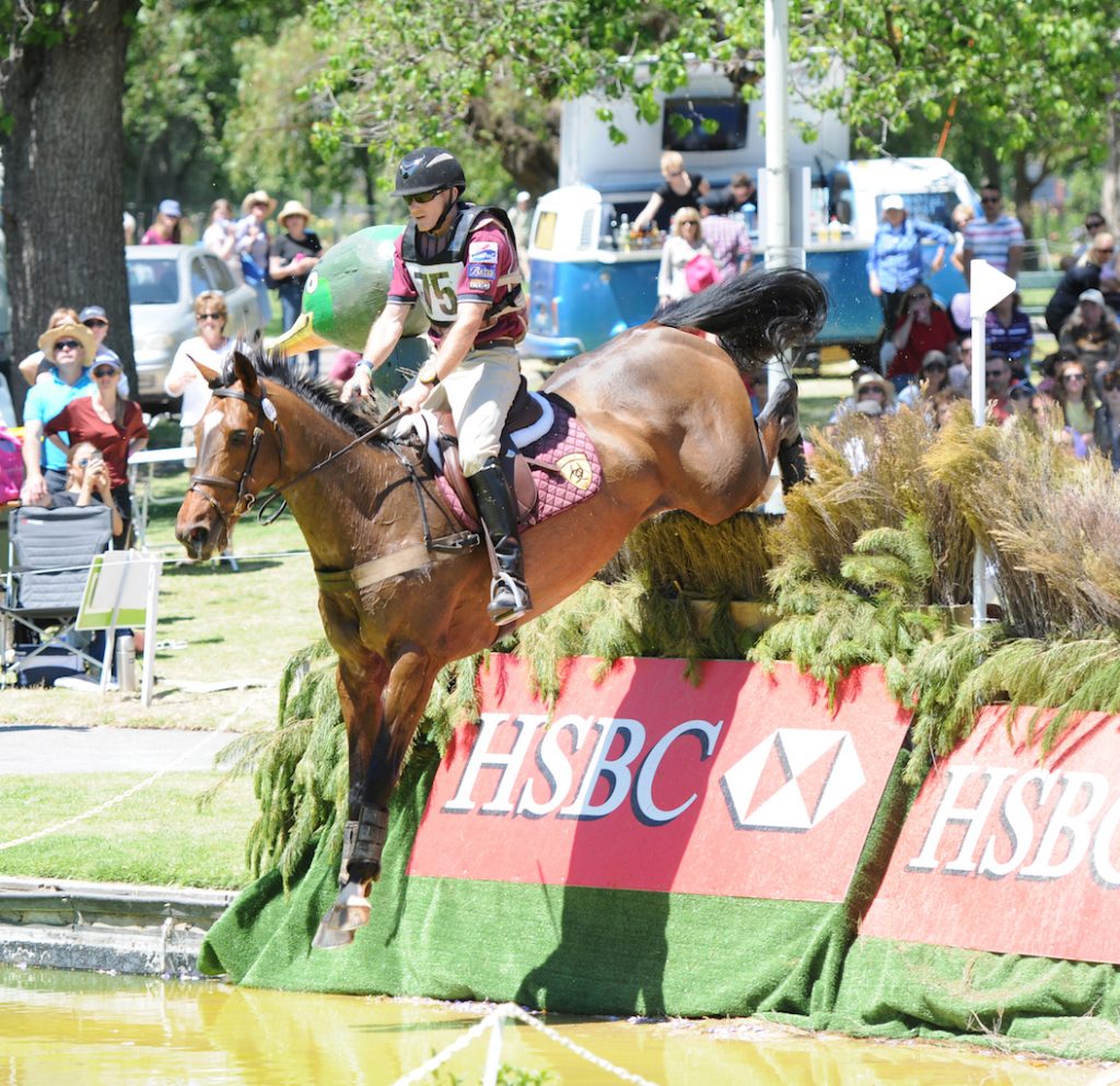 Sandhills Brillaire Adelaide